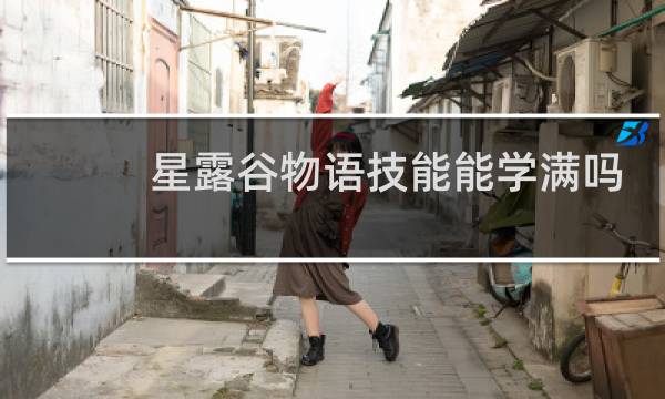 星露谷物语技能能学满吗
