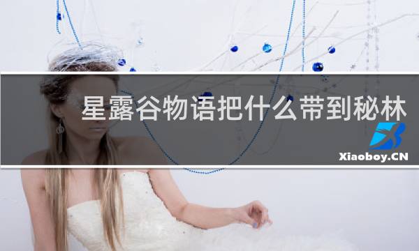 星露谷物语把什么带到秘林
