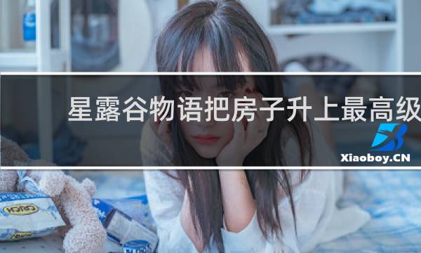 星露谷物语把房子升上最高级