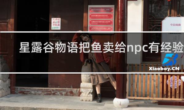 星露谷物语把鱼卖给npc有经验吗