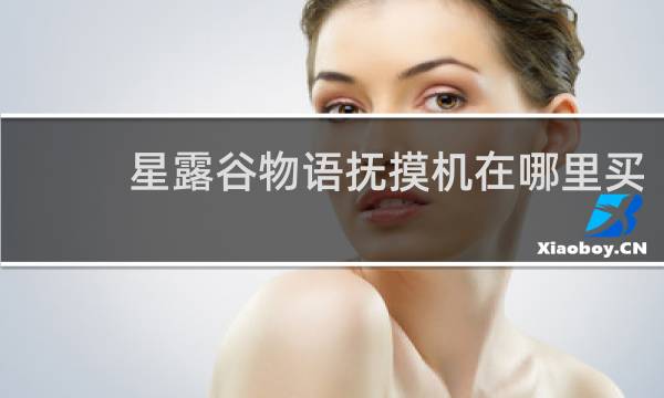 星露谷物语抚摸机在哪里买