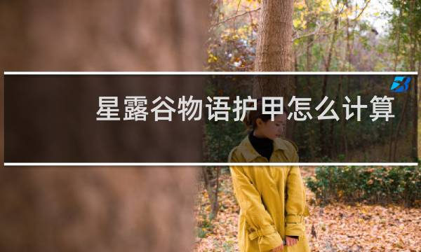 星露谷物语护甲怎么计算