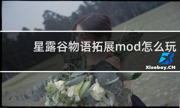 星露谷物语拓展mod怎么玩