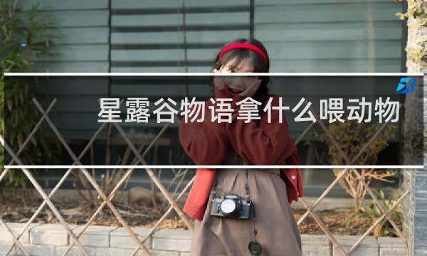 星露谷物语拿什么喂动物