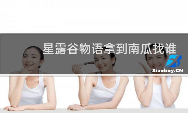 星露谷物语拿到南瓜找谁