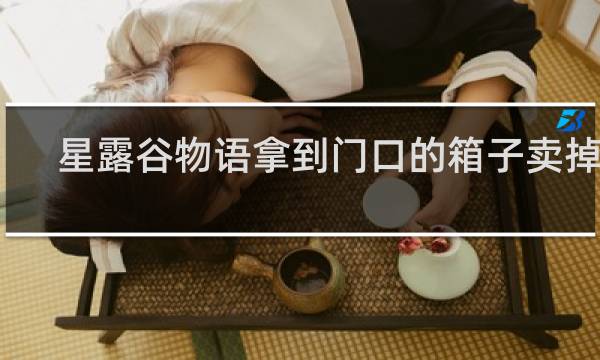 星露谷物语拿到门口的箱子卖掉吗