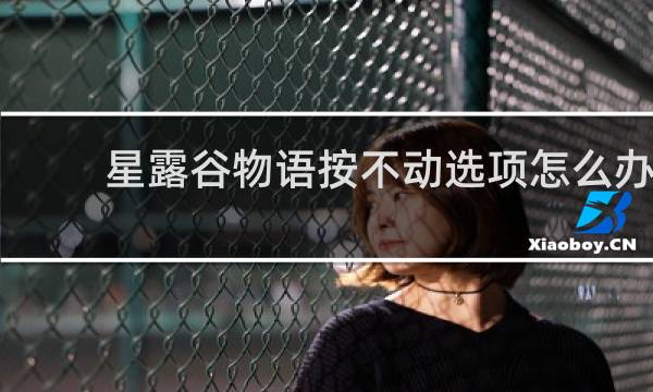 星露谷物语按不动选项怎么办