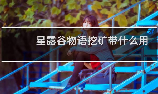 星露谷物语挖矿带什么用