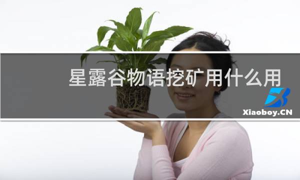星露谷物语挖矿用什么用