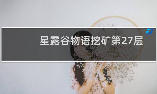 星露谷物语挖矿第27层