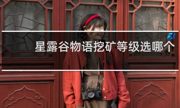 星露谷物语挖矿等级选哪个