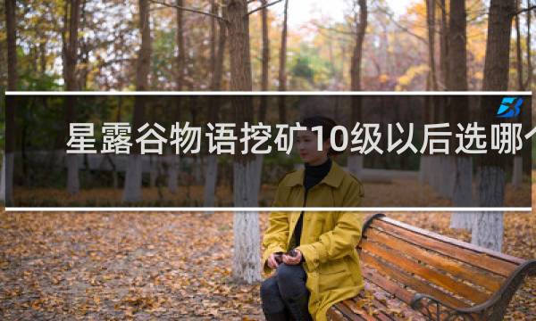 星露谷物语挖矿10级以后选哪个