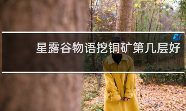 星露谷物语挖铜矿第几层好