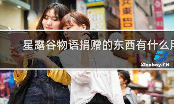 星露谷物语捐赠的东西有什么用