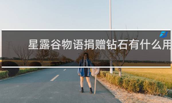 星露谷物语捐赠钻石有什么用