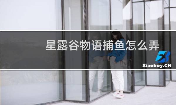 星露谷物语捕鱼怎么弄