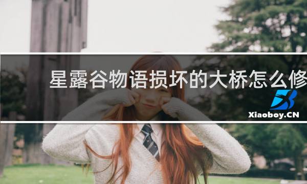 星露谷物语损坏的大桥怎么修