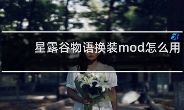 星露谷物语换装mod怎么用