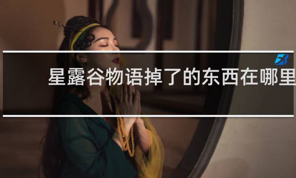 星露谷物语掉了的东西在哪里