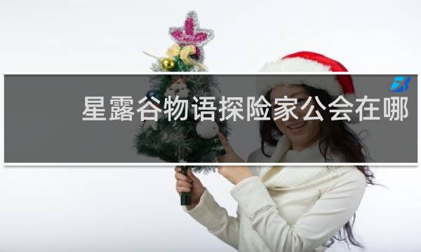 星露谷物语探险家公会在哪