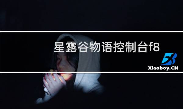 星露谷物语控制台f8