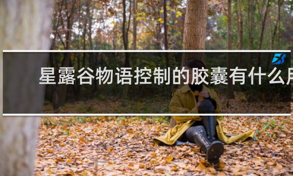 星露谷物语控制的胶囊有什么用