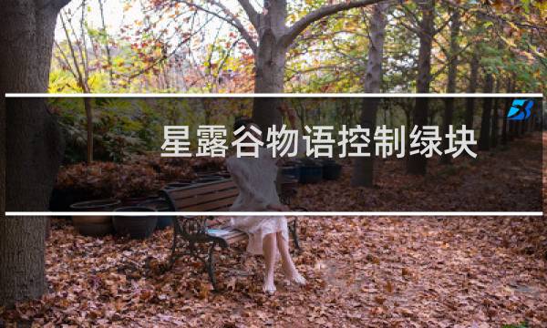 星露谷物语控制绿块