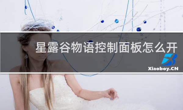 星露谷物语控制面板怎么开