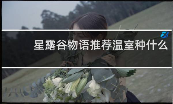 星露谷物语推荐温室种什么