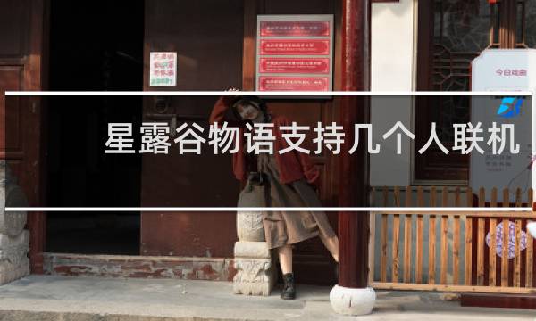 星露谷物语支持几个人联机