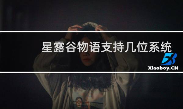 星露谷物语支持几位系统