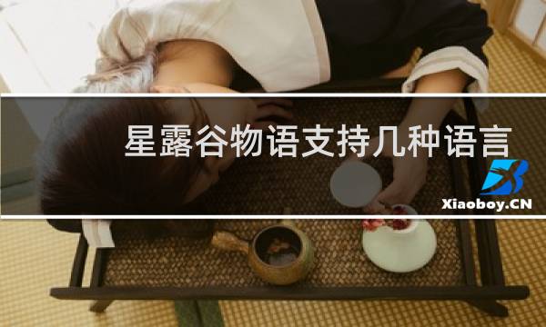 星露谷物语支持几种语言