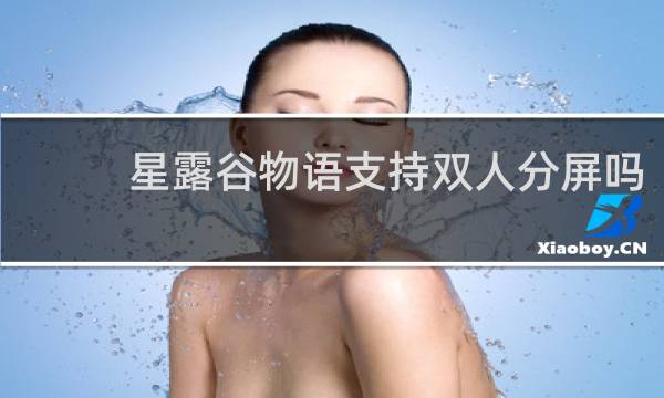星露谷物语支持双人分屏吗