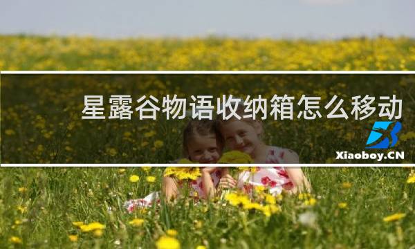 星露谷物语收纳箱怎么移动