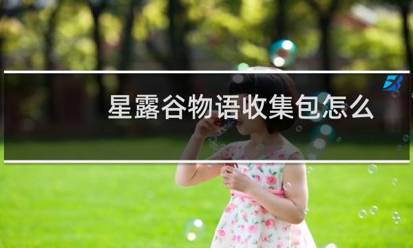 星露谷物语收集包怎么
