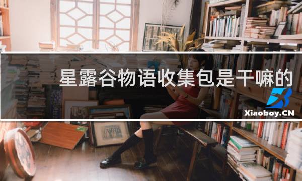 星露谷物语收集包是干嘛的