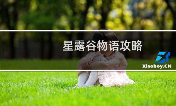 星露谷物语攻略 任