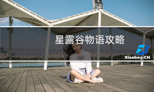 星露谷物语攻略 礼物