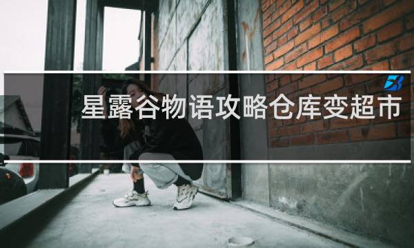 星露谷物语攻略仓库变超市