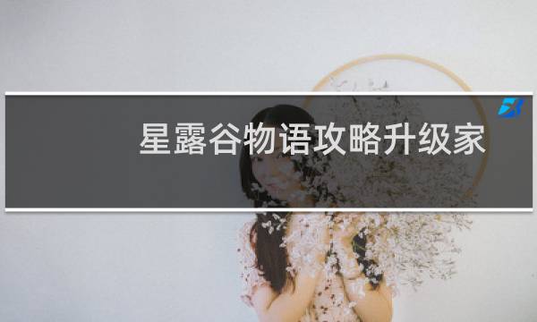 星露谷物语攻略升级家