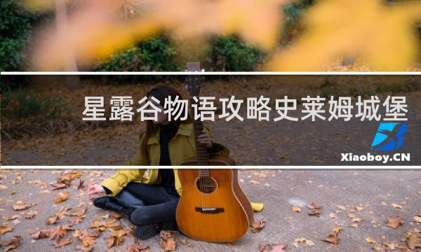 星露谷物语攻略史莱姆城堡