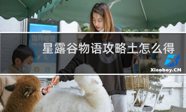 星露谷物语攻略土怎么得