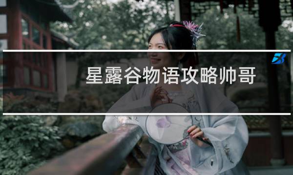 星露谷物语攻略帅哥