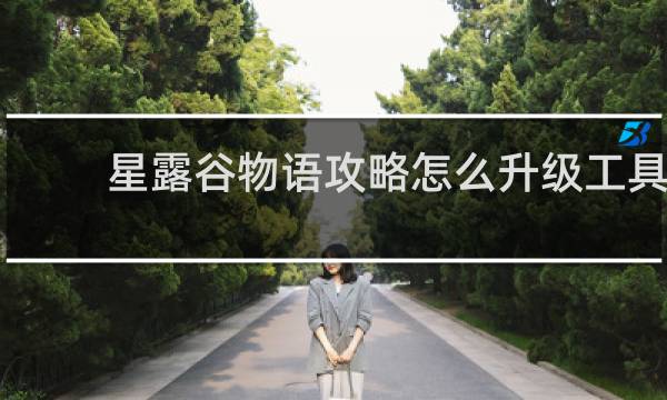 星露谷物语攻略怎么升级工具