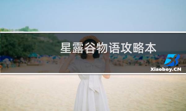 星露谷物语攻略本