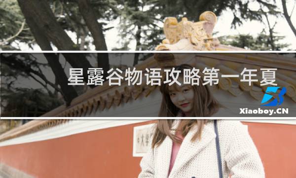 星露谷物语攻略第一年夏