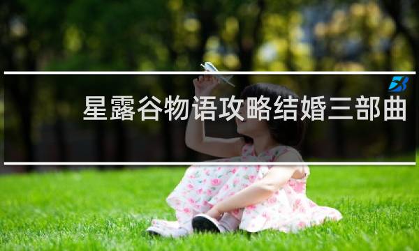 星露谷物语攻略结婚三部曲