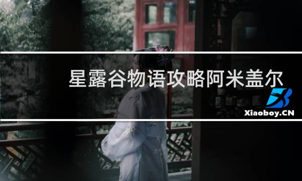 星露谷物语攻略阿米盖尔