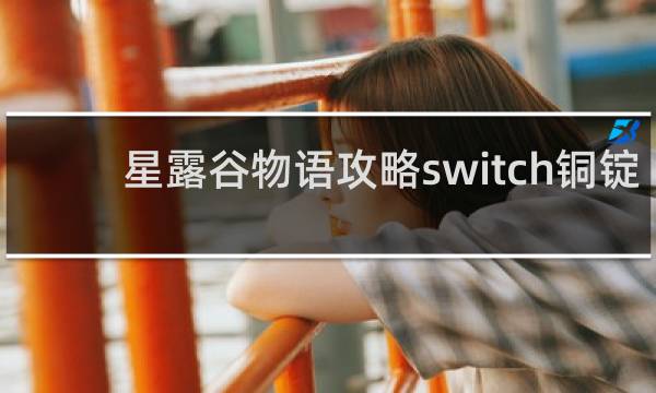 星露谷物语攻略switch铜锭