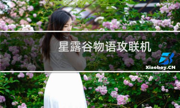 星露谷物语攻联机